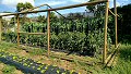 Horta